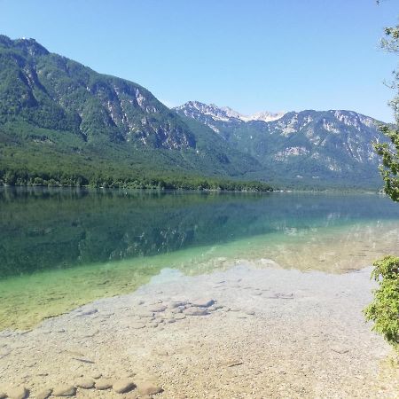 Apartment Mlakar Bohinj Exteriör bild