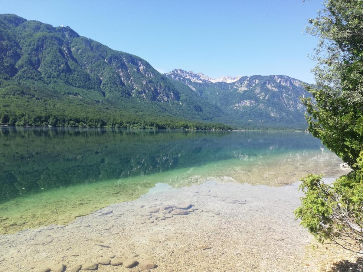 Apartment Mlakar Bohinj Exteriör bild