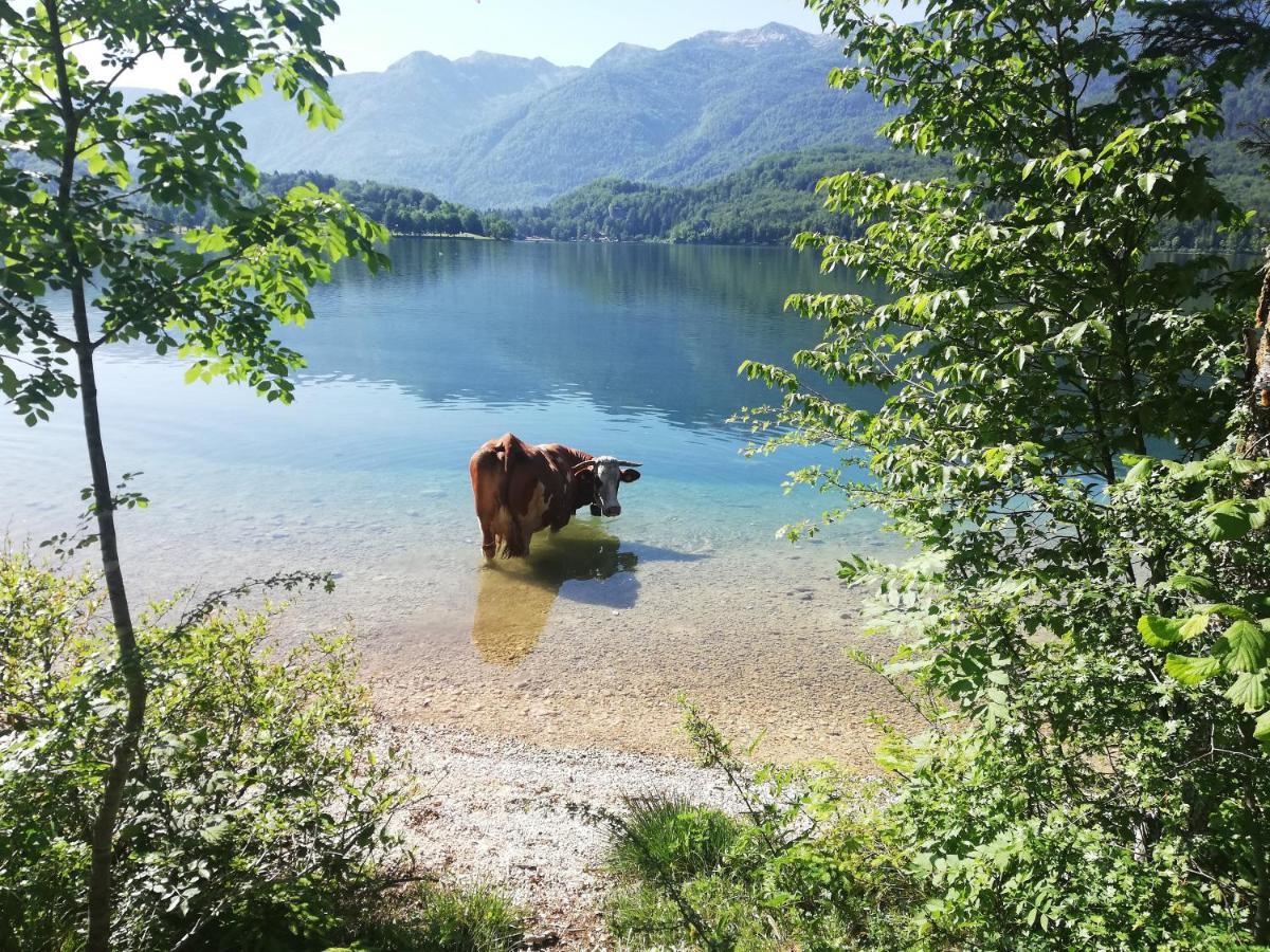 Apartment Mlakar Bohinj Exteriör bild