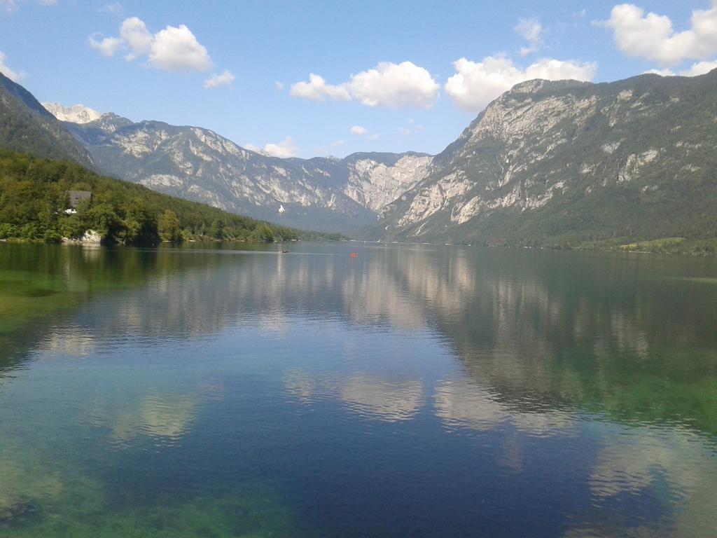 Apartment Mlakar Bohinj Rum bild