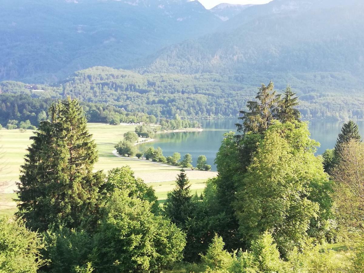 Apartment Mlakar Bohinj Exteriör bild