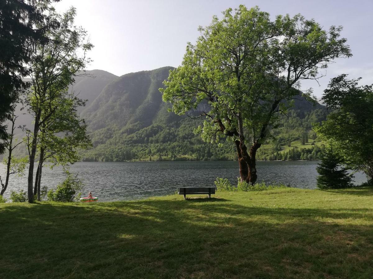 Apartment Mlakar Bohinj Exteriör bild