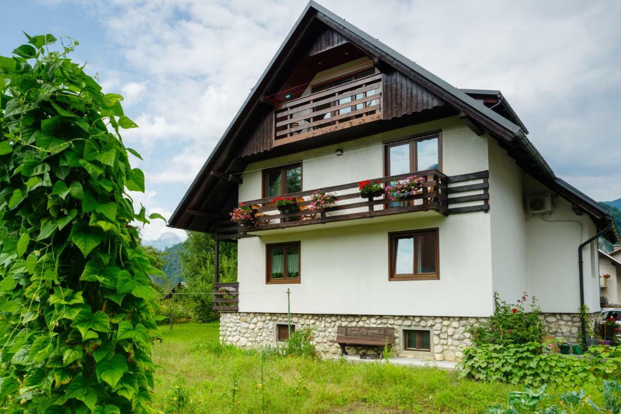 Apartment Mlakar Bohinj Exteriör bild